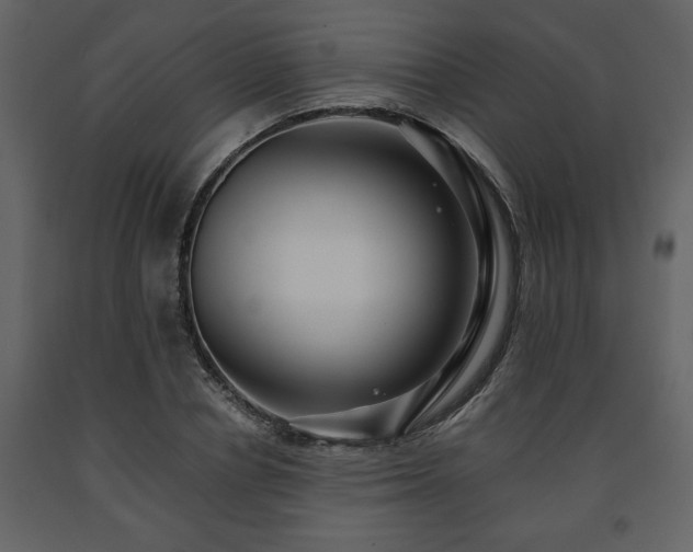 X0000091680834200708231415