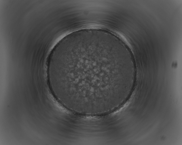 X0000091680835200708231415