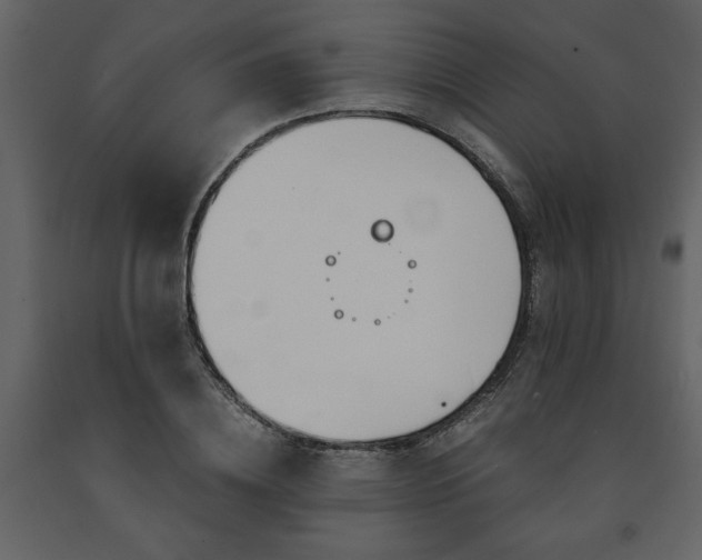X0000091680836200708231415