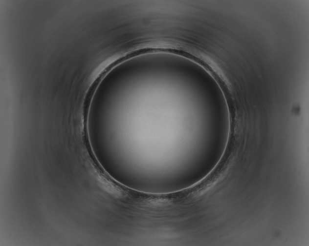 X0000091680837200708231415