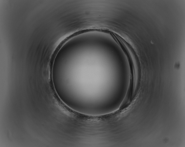 X0000091680838200708231415