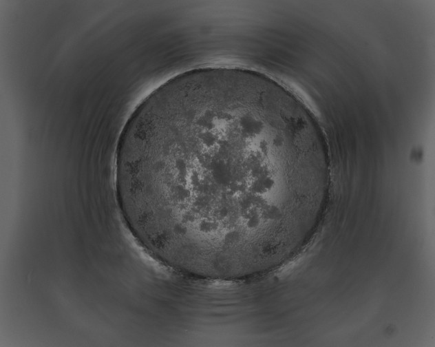 X0000091680839200708231415