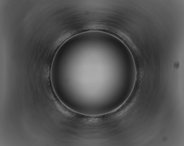 X0000091680841200708231415