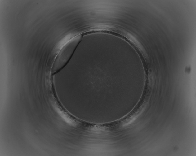 X0000091680842200708231415