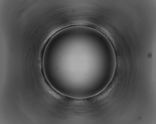 X0000091680843200708231415