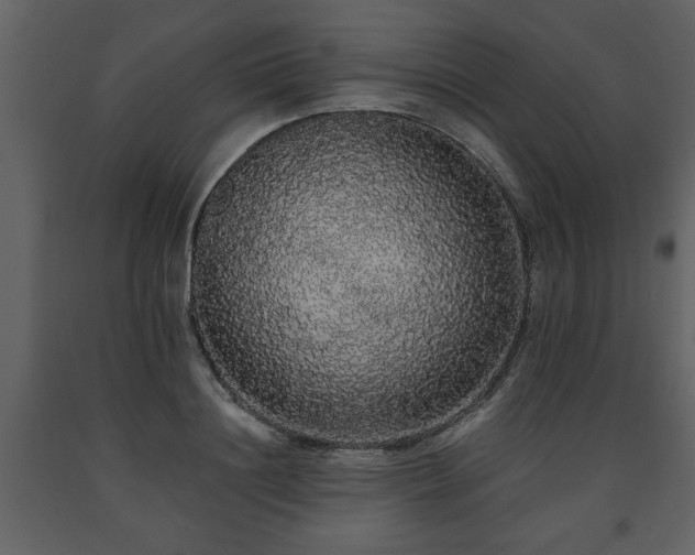 X0000091680844200708231415