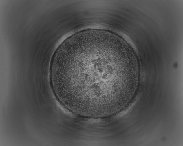 X0000091680845200708231415