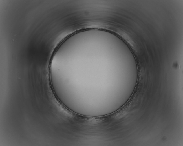 X0000091680848200708231415