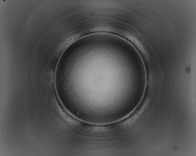 X0000091680849200708231415
