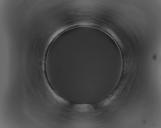X0000091680853200708231415
