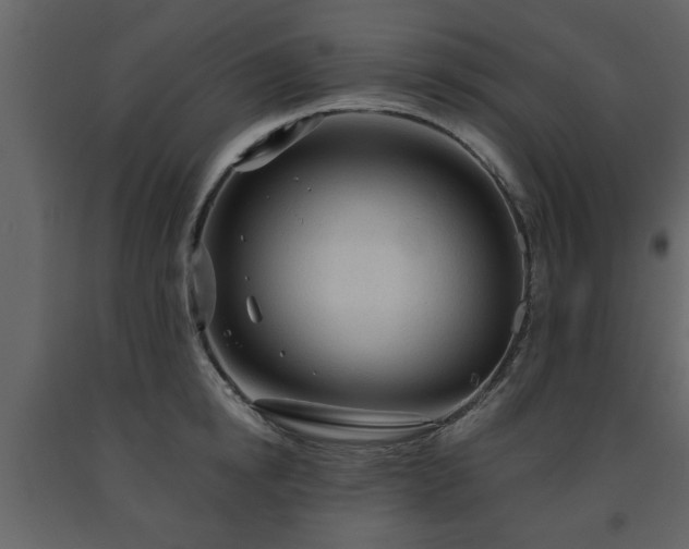 X0000091680854200708231415