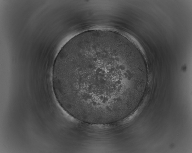 X0000091680855200708231415