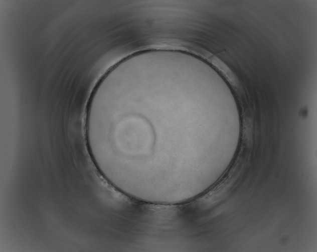 X0000091680856200708231415