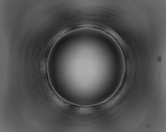 X0000091680857200708231415