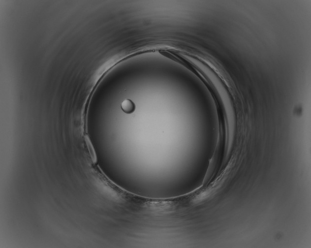 X0000091680858200708231415