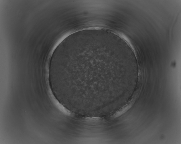 X0000091680859200708231415