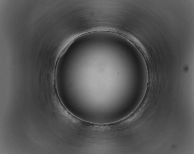 X0000091680860200708231415
