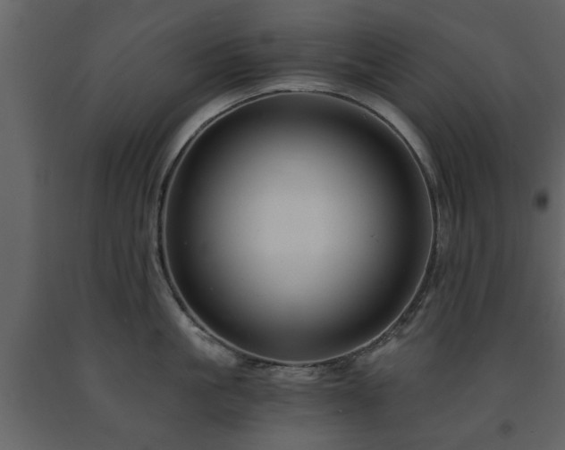 X0000091680861200708231415