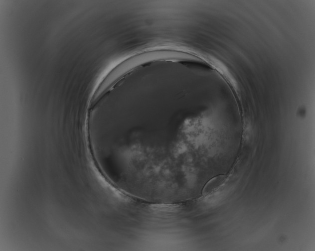 X0000091680863200708231415