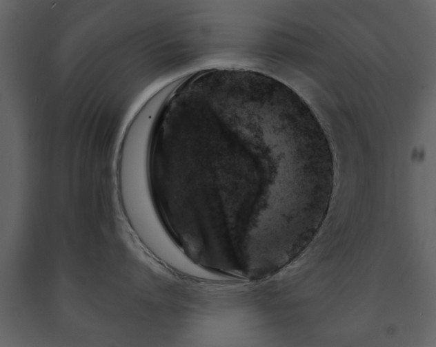 X0000091680864200708231415