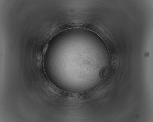 X0000091680866200708231415