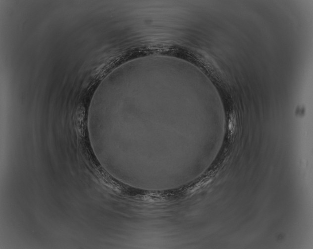 X0000091680867200708231415