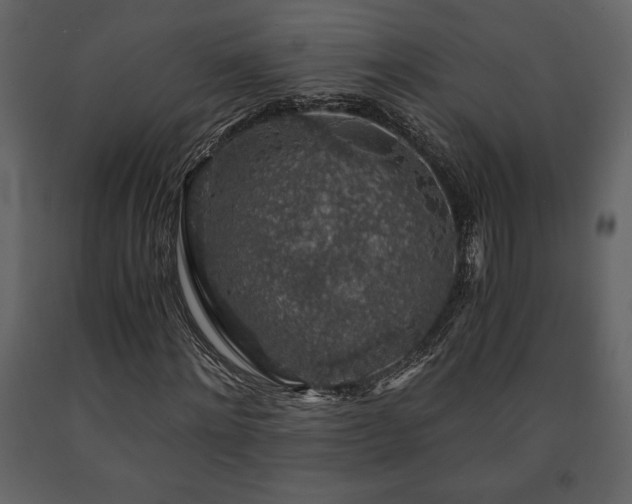 X0000091680868200708231415