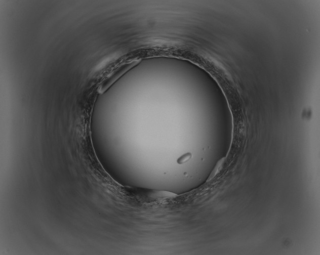 X0000091680869200708231415
