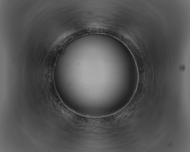 X0000091680870200708231415
