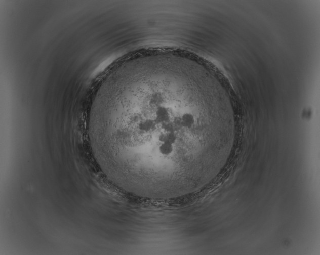 X0000091680871200708231415