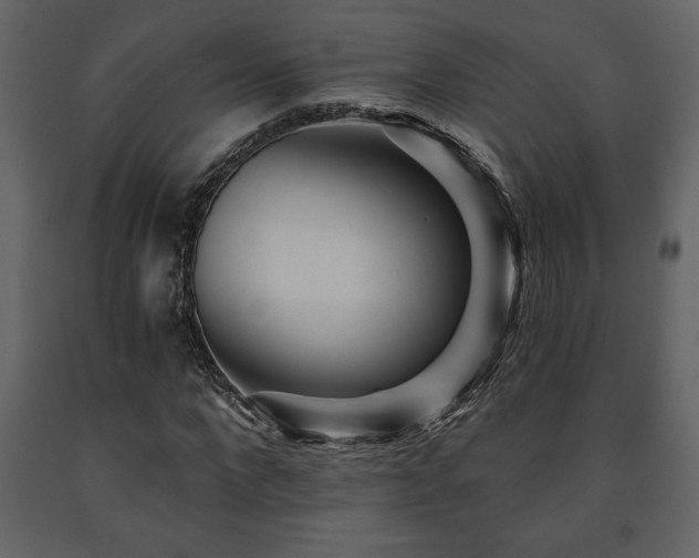 X0000091680872200708231415