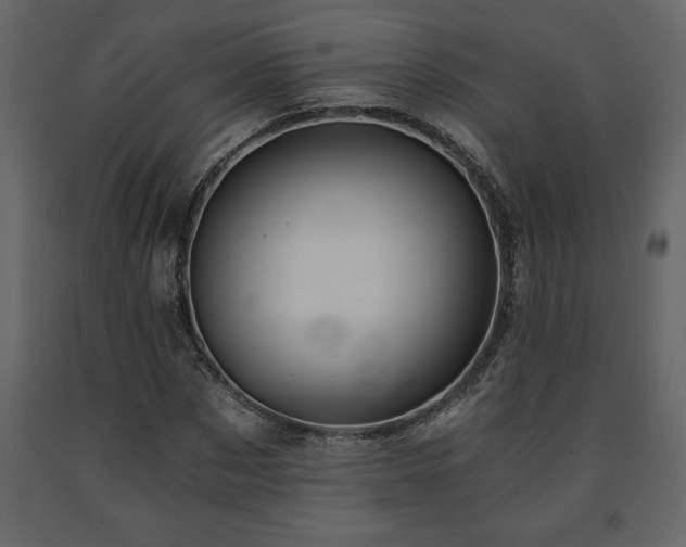 X0000091680873200708231415