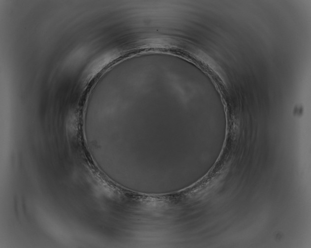 X0000091680874200708231414