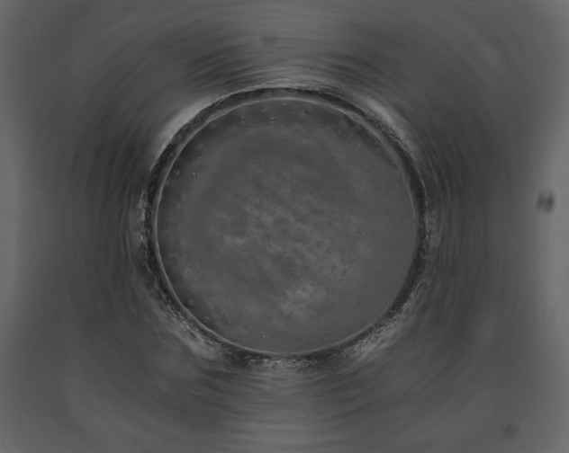 X0000091680875200708231414