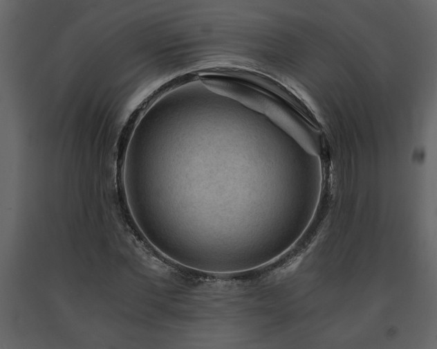 X0000091680877200708231414