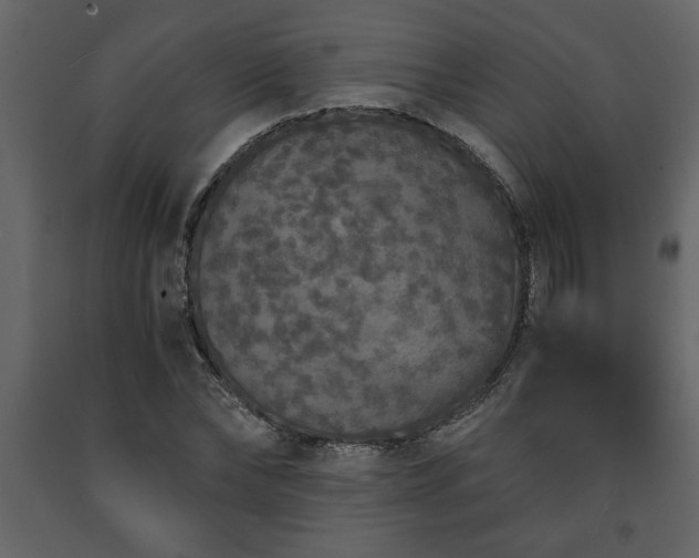 X0000091680878200708231414