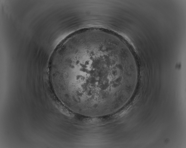 X0000091680879200708231414