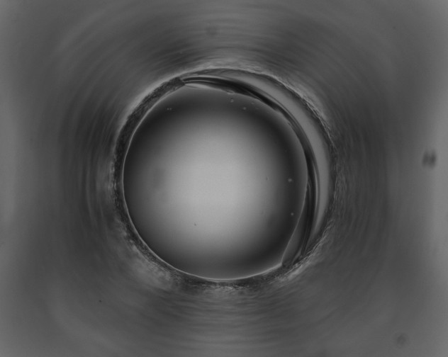 X0000091680880200708231414