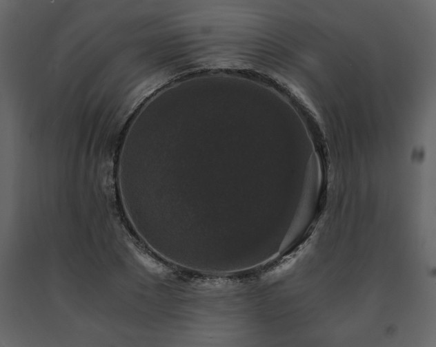 X0000091680881200708231414