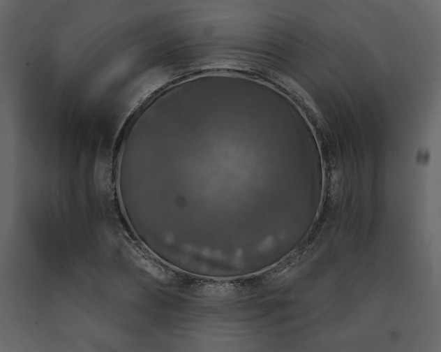 X0000091680882200708231414