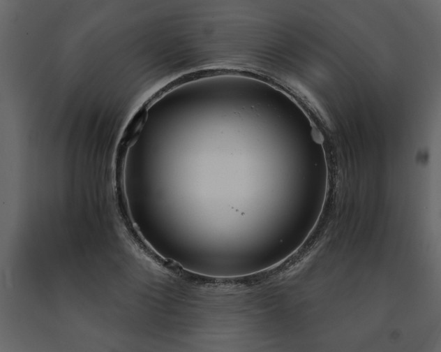 X0000091680884200708231414