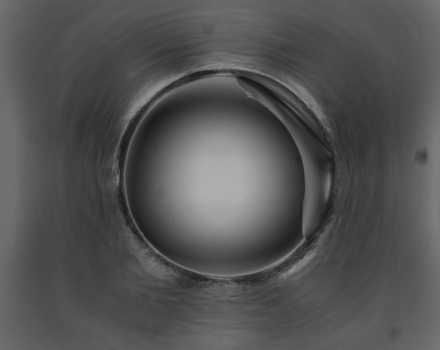 X0000091680885200708231414