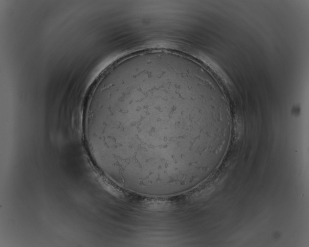 X0000091680886200708231414