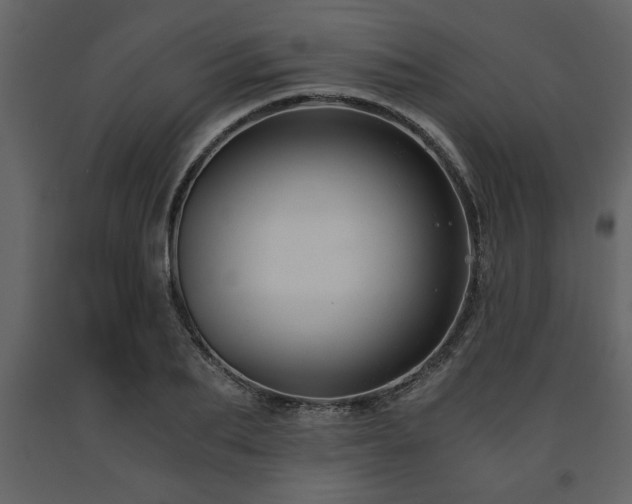X0000091680887200708231414