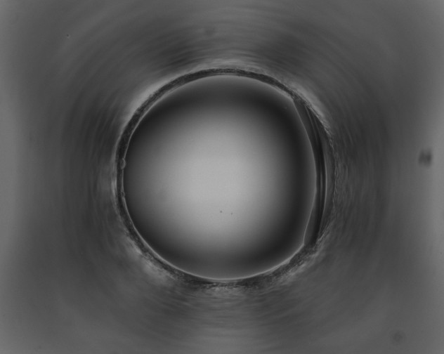 X0000091680888200708231414