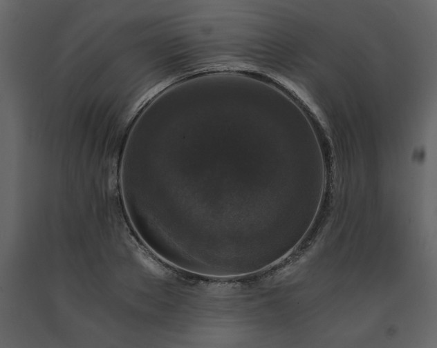 X0000091680889200708231414
