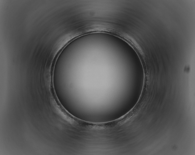 X0000091680890200708231414