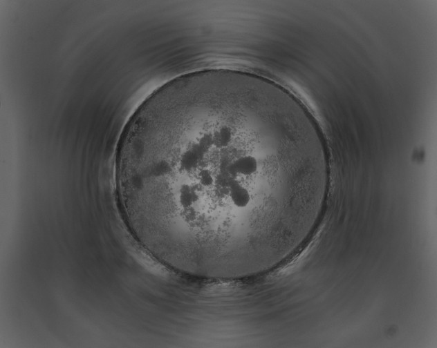 X0000091680891200708231414