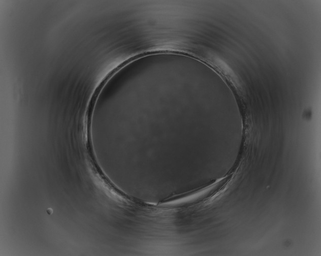 X0000091680892200708231414