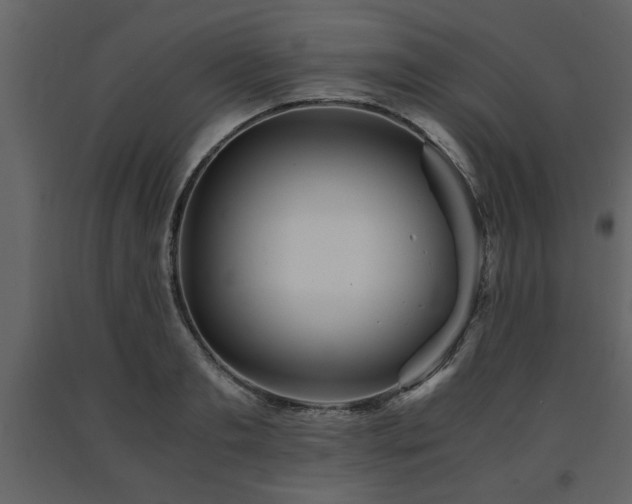 X0000091680893200708231414